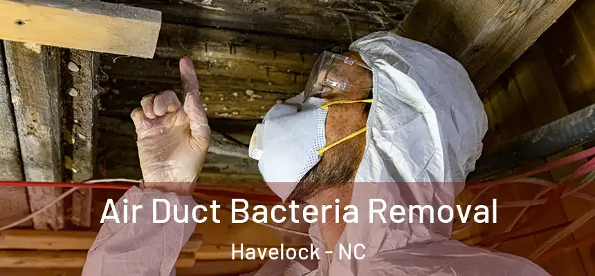  Air Duct Bacteria Removal Havelock - NC