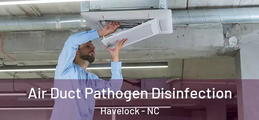  Air Duct Pathogen Disinfection Havelock - NC