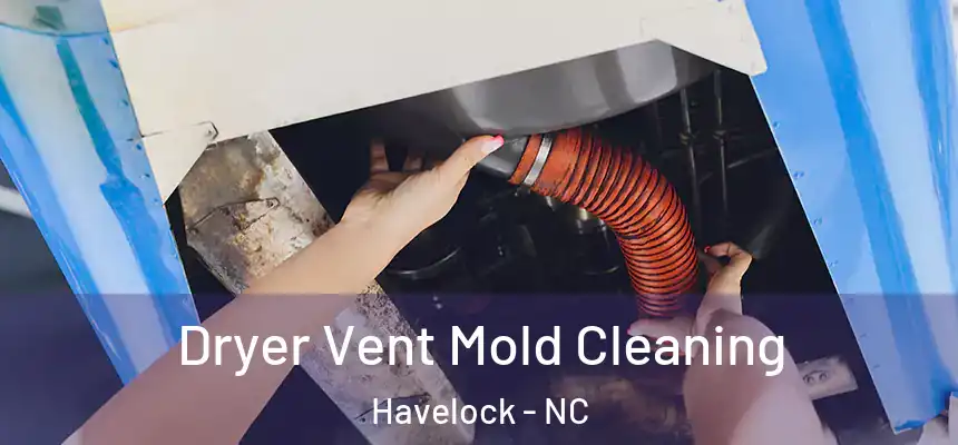  Dryer Vent Mold Cleaning Havelock - NC