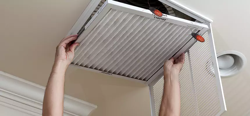 Preventive Cockroach-Proofing for Ducts in Havelock