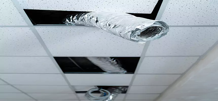 Our Air Duct Pet Hair Removal Services in Havelock, NC