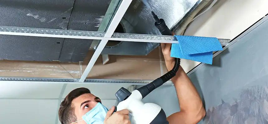 Our Air Duct Rodent Removal Services in Havelock, NC