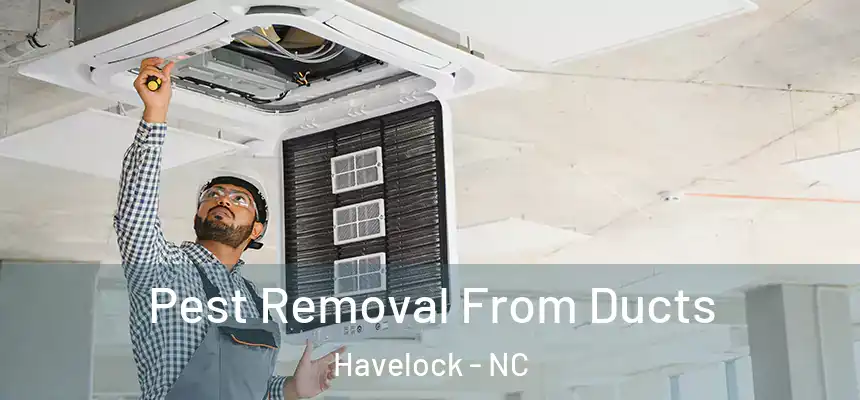  Pest Removal From Ducts Havelock - NC