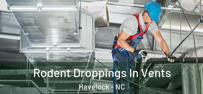  Rodent Droppings In Vents Havelock - NC