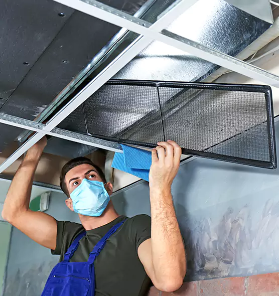 About Air Duct Bacteria Removal in Havelock