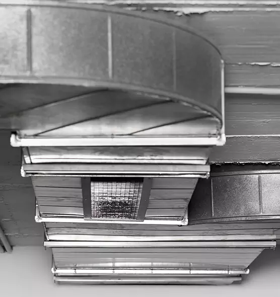 Professional Air Duct Pest Removal in Havelock, NC