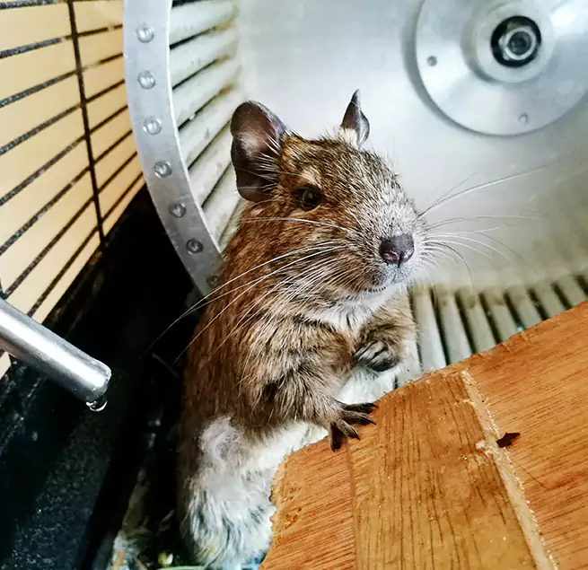 Why Homeowners & Businesses Trust Us Havelock, NC?