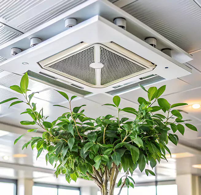 Why Homeowners & Businesses Trust Us in Havelock, NC?