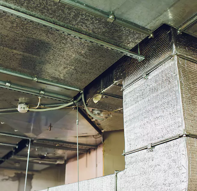 Why Homeowners & Businesses Trust Us in Havelock, NC?