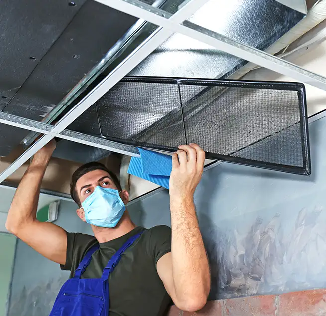 Why Homeowners & Businesses Trust Us in Havelock, NC?